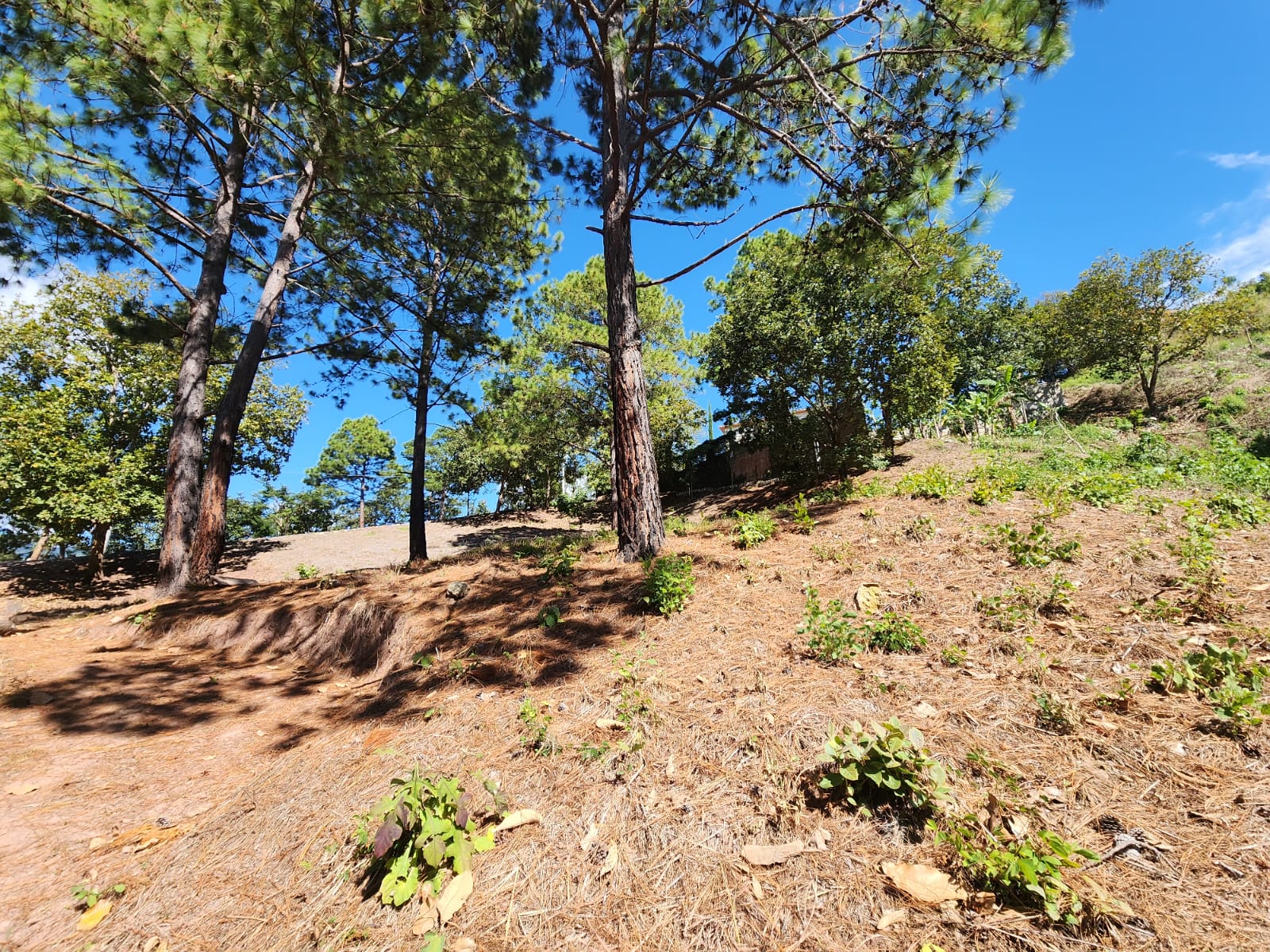 Venta de terreno en Santa Lucía